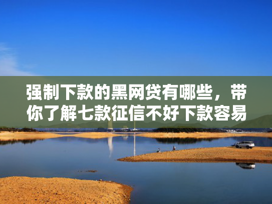 强制下款的黑网贷有哪些，带你了解七款征信不好下款容易的平台
