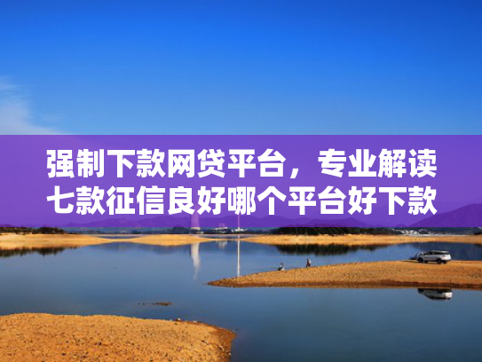 强制下款网贷平台，专业解读七款征信良好哪个平台好下款