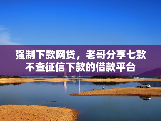 强制下款网贷，老哥分享七款不查征信下款的借款平台