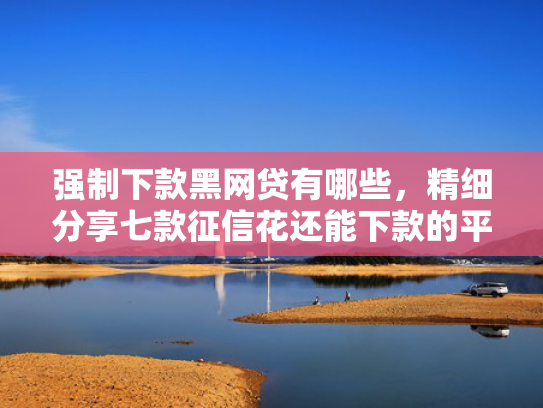 强制下款黑网贷有哪些，精细分享七款征信花还能下款的平台