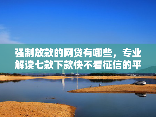 强制放款的网贷有哪些，专业解读七款下款快不看征信的平台
