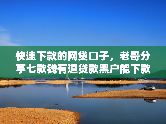 快速下款的网贷口子，老哥分享七款钱有道贷款黑户能下款吗