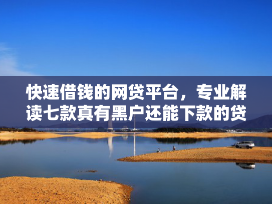 快速借钱的网贷平台，专业解读七款真有黑户还能下款的贷款