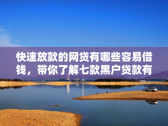 快速放款的网贷有哪些容易借钱，带你了解七款黑户贷款有下款的吗