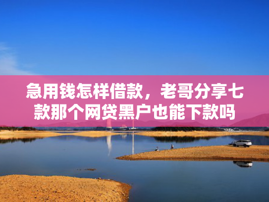 急用钱怎样借款，老哥分享七款那个网贷黑户也能下款吗