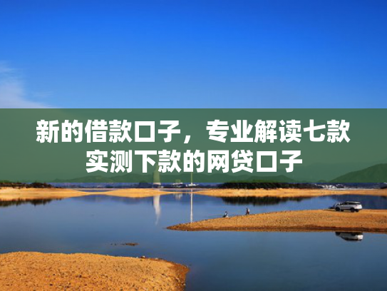 新的借款口子，专业解读七款实测下款的网贷口子