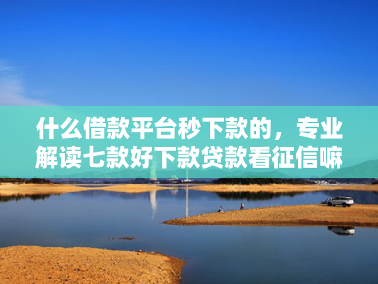 什么借款平台秒下款的，专业解读七款好下款贷款看征信嘛