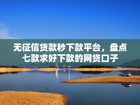 无征信贷款秒下款平台，盘点七款求好下款的网贷口子