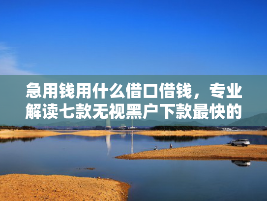 急用钱用什么借口借钱，专业解读七款无视黑户下款最快的网贷
