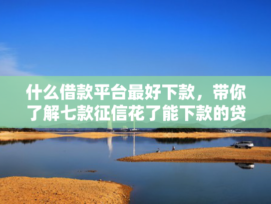 什么借款平台最好下款，带你了解七款征信花了能下款的贷款