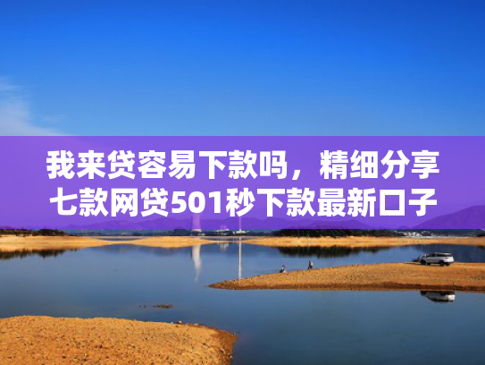 我来贷容易下款吗，精细分享七款网贷501秒下款最新口子