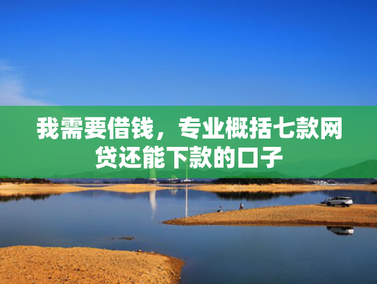 我需要借钱，专业概括七款网贷还能下款的口子