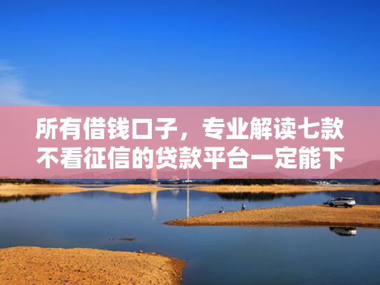 所有借钱口子，专业解读七款不看征信的贷款平台一定能下款