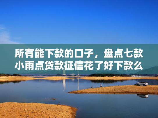 所有能下款的口子，盘点七款小雨点贷款征信花了好下款么
