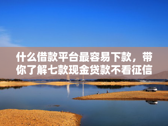 什么借款平台最容易下款，带你了解七款现金贷款不看征信秒下款