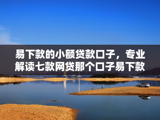 易下款的小额贷款口子，专业解读七款网贷那个口子易下款