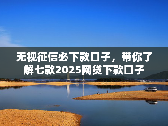 无视征信必下款口子，带你了解七款2025网贷下款口子