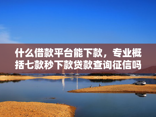 什么借款平台能下款，专业概括七款秒下款贷款查询征信吗