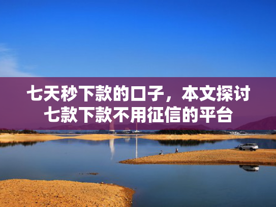 七天秒下款的口子，本文探讨七款下款不用征信的平台