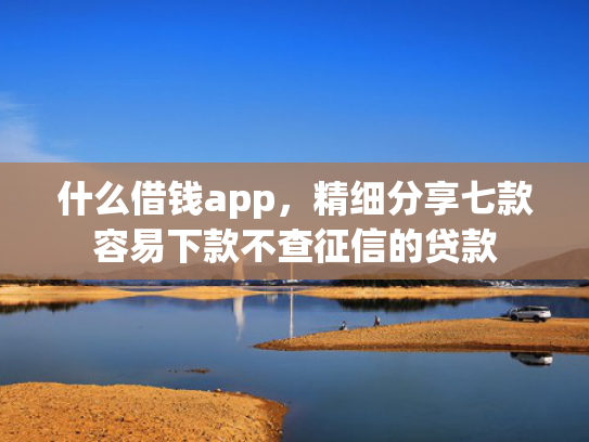 什么借钱app，精细分享七款容易下款不查征信的贷款