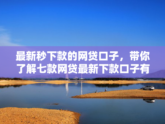 最新秒下款的网贷口子，带你了解七款网贷最新下款口子有哪些