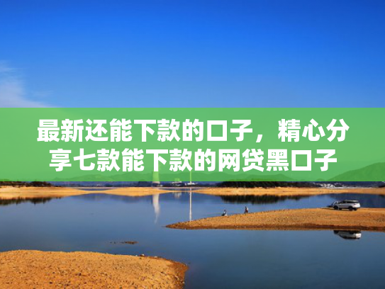 最新还能下款的口子，精心分享七款能下款的网贷黑口子