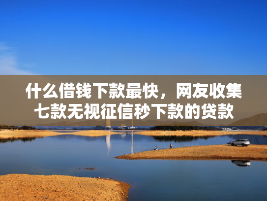 什么借钱下款最快，网友收集七款无视征信秒下款的贷款