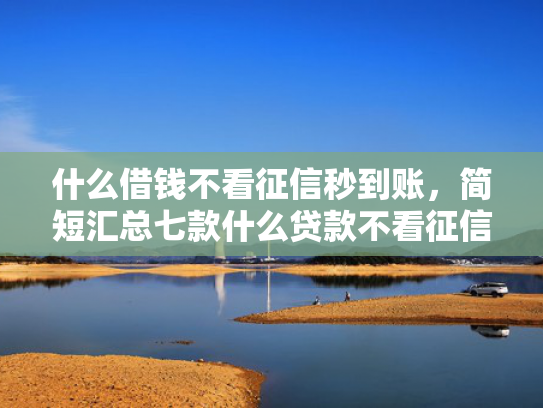 什么借钱不看征信秒到账，简短汇总七款什么贷款不看征信秒下款