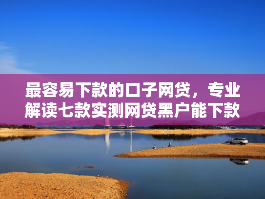 最容易下款的口子网贷，专业解读七款实测网贷黑户能下款口子