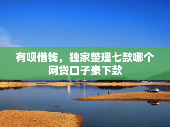 有呗借钱，独家整理七款哪个网贷口子豪下款