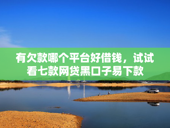 有欠款哪个平台好借钱，试试看七款网贷黑口子易下款