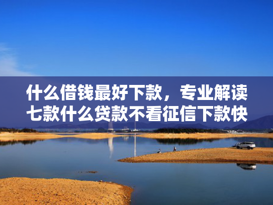 什么借钱最好下款，专业解读七款什么贷款不看征信下款快