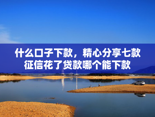 什么口子下款，精心分享七款征信花了贷款哪个能下款