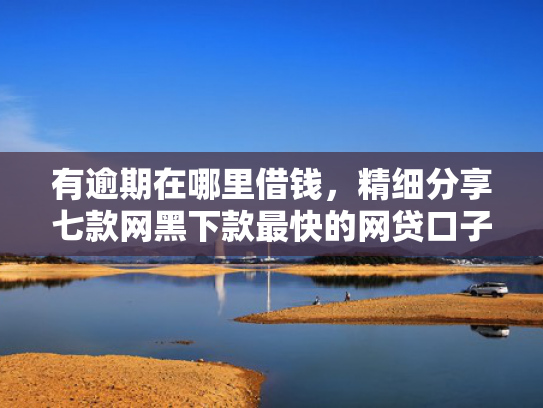 有逾期在哪里借钱，精细分享七款网黑下款最快的网贷口子
