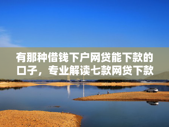 有那种借钱下户网贷能下款的口子，专业解读七款网贷下款口子怎么找