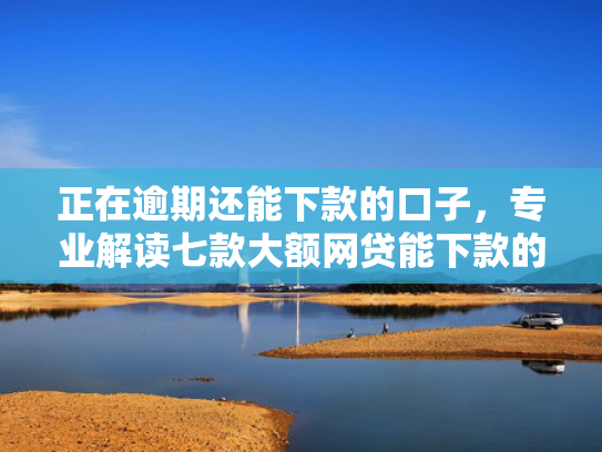 正在逾期还能下款的口子，专业解读七款大额网贷能下款的口子