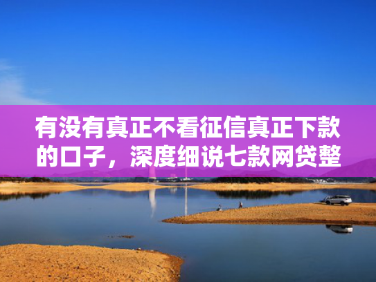 有没有真正不看征信真正下款的口子，深度细说七款网贷整顿什么口子下款