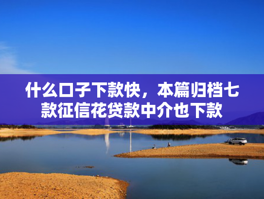什么口子下款快，本篇归档七款征信花贷款中介也下款