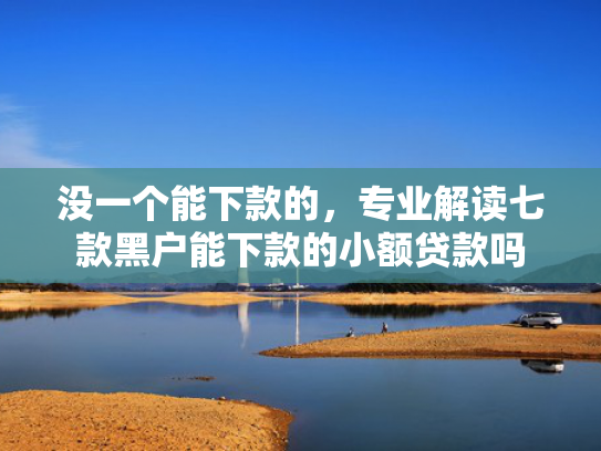 没一个能下款的，专业解读七款黑户能下款的小额贷款吗
