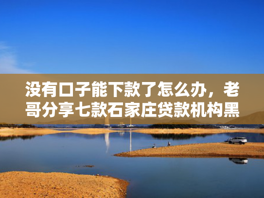 没有口子能下款了怎么办，老哥分享七款石家庄贷款机构黑户也能带下款