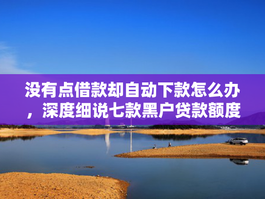 没有点借款却自动下款怎么办，深度细说七款黑户贷款额度高下款快