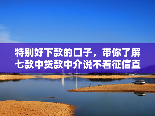 特别好下款的口子，带你了解七款中贷款中介说不看征信直接下款