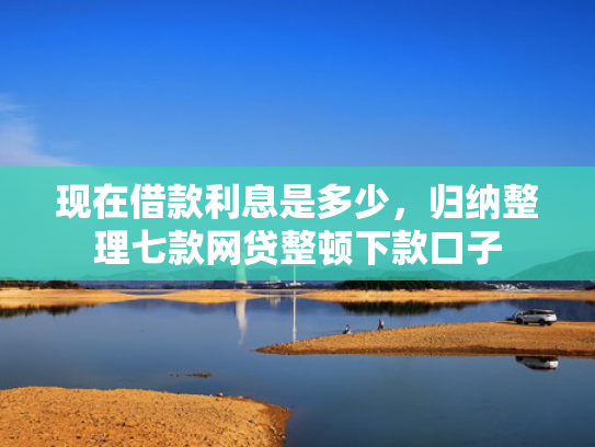 现在借款利息是多少，归纳整理七款网贷整顿下款口子