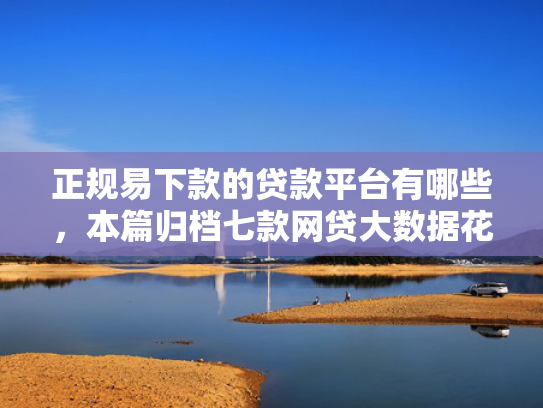 正规易下款的贷款平台有哪些，本篇归档七款网贷大数据花了下款口子
