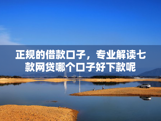 正规的借款口子，专业解读七款网贷哪个口子好下款呢