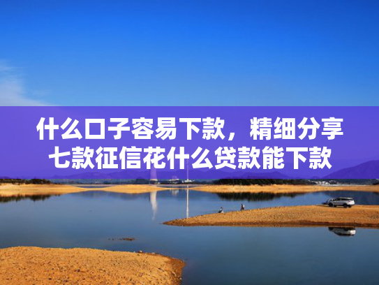 什么口子容易下款，精细分享七款征信花什么贷款能下款