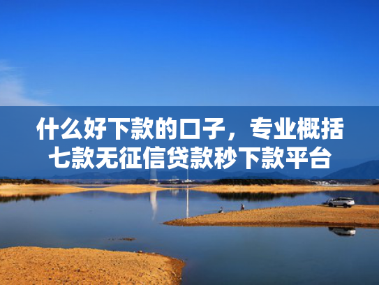 什么好下款的口子，专业概括七款无征信贷款秒下款平台