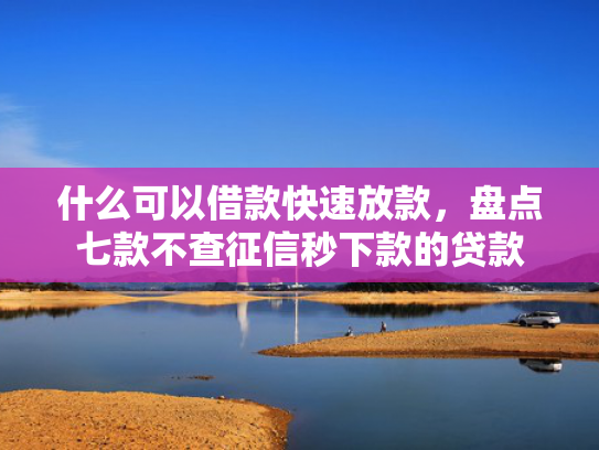 什么可以借款快速放款，盘点七款不查征信秒下款的贷款