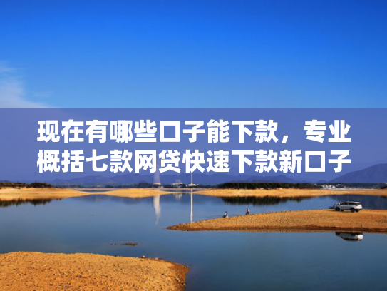 现在有哪些口子能下款，专业概括七款网贷快速下款新口子
