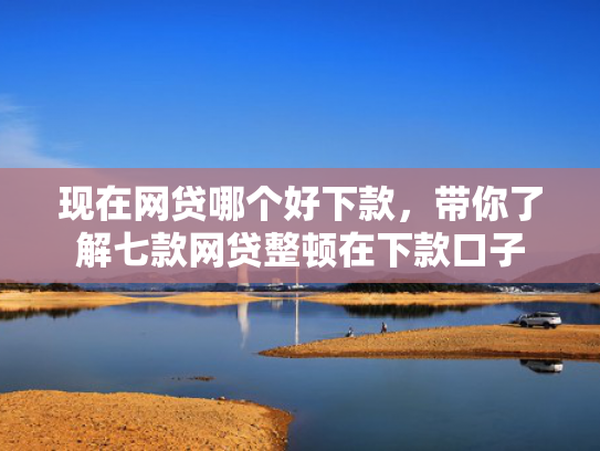 现在网贷哪个好下款，带你了解七款网贷整顿在下款口子